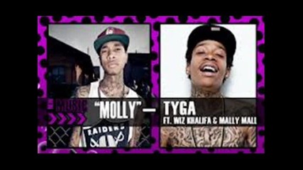 Tyga ft. Wiz Khalifa - Molly Remix / No Mercy /