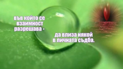Сълза - Таня Мезева