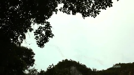 Gunung Mulu - Национален парк Малайзия