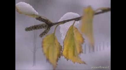 Yuriko Nakamura - Winter Serenade