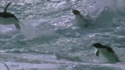 John Askew - Beirut (original Mix) (chillout video) 