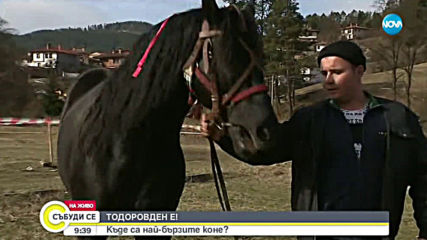 На Тодоровден се организира традиционно състезание с коне