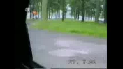 Смях С Животни