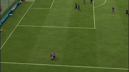 Fifa 13 Bug