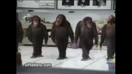 Супер Маймунски Танци