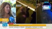 Разследват сложната верижна катастрофа с диво прасе и 12 ранени край Бургас