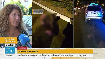 Разследват сложната верижна катастрофа с диво прасе и 12 ранени край Бургас