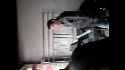 vaidin 2010
