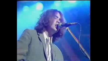 Icicle Works - Hollow Horse