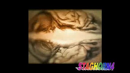 House Md Theme Song (intro) 