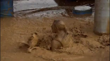Wipeout Season 3 _ Wallsmacked!