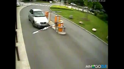 Здрава глава има тая женска