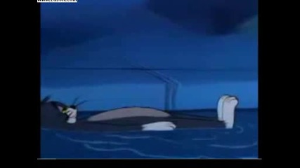 Tom and Jerry - Любовта е скъпа
