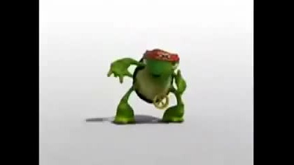 Funny Armenian Turtle Lol 