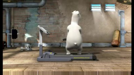 01 Bernard - Sporthall.avi