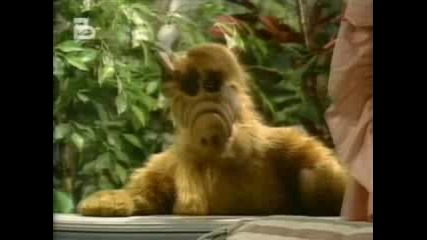 Alf