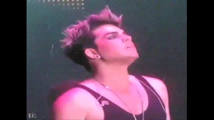 Adam Lambert - Sexy Naughty Bitchy