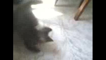 Malko To Mi Kote Si Igrae