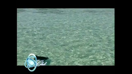 Maldive Beach Dream
