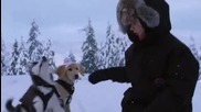 Снежни приятели (2008) Бг Аудио/ Snow Buddyes Bg Audio