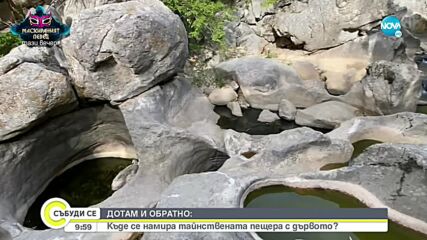 „ДОТАМ И ОБРАТНО”: Разходка до „Пещерата с дървото”
