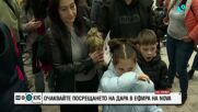 Очаквайте на живо по NOVA грандиозното посрещане на DARA в България