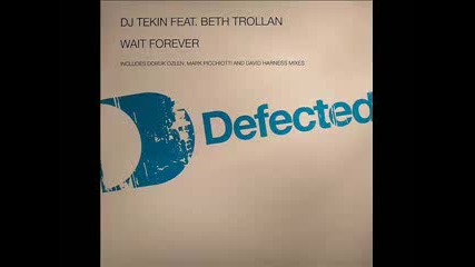 Dj Tekin Feat. Beth Trollan - Wait Forever 