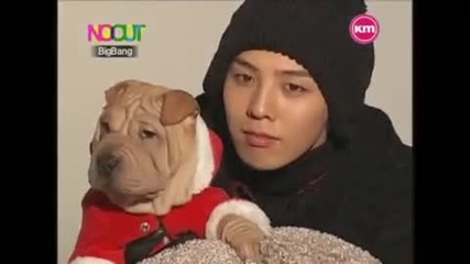 ¦ G - Dragon & Gaho ¦ 