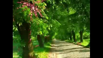 Omar Akram - Secret Journey