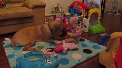 Компилация Смях ! - Big Dogs and Babies Compilation 2015 (720p)