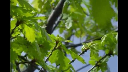 Смяната На Сезоните В Няколко Секунди