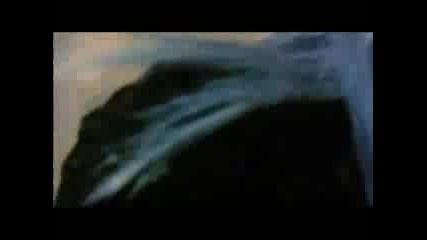 best kung fu sword fight