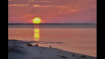 Relaxation - Florida Beaches 