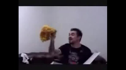 Amy Lee Crazy Moments