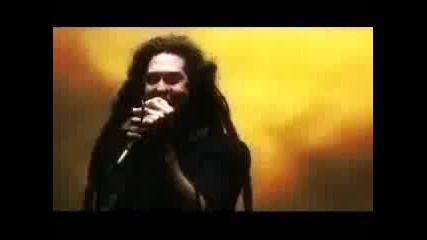 Shadows Fall - In Effigy (official Video) 
