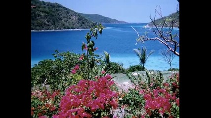 Island Of Golden Dreams