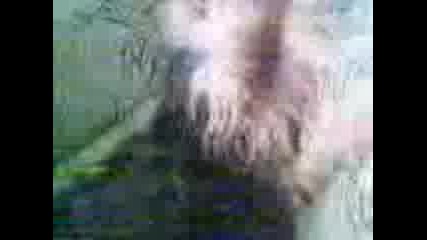 Igra S Yorki
