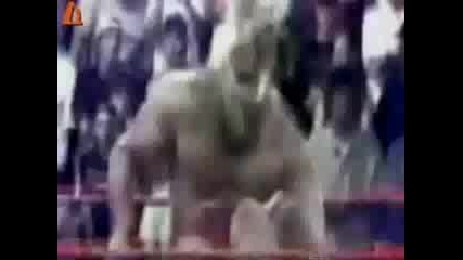 Wwe Много Яко Клипче