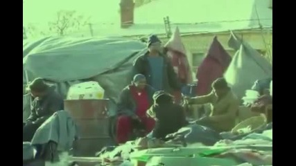 Американското зомби 2010 