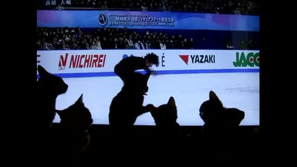Котенцата Гледат фигурно пързаляне