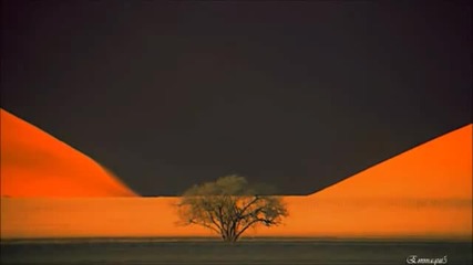 Marcus Viana -areias