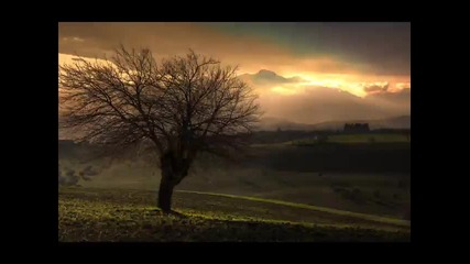 Crooked Still - Aint No Grave (from True Blood ) 