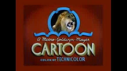 Tom N Jerry Cartoon