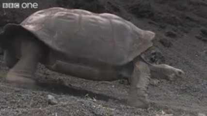 Смях на Макс не го пропускайте!!! 
