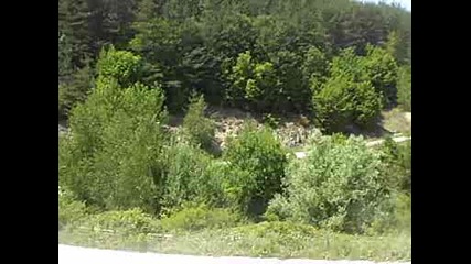 rally 8