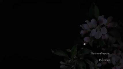 Best Chill Out Sax Tuneombre di Luna