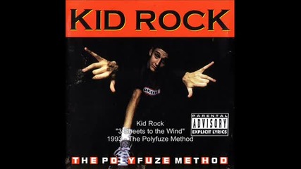 Kid Rock - 3 Sheets to the Wind