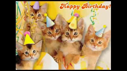 Happy Birthday Kittens