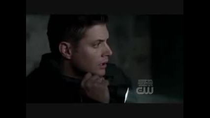 supernatural cat scream