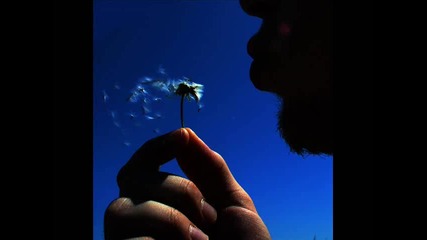 Christos Fourkis - Forest Wish (original Mix) 